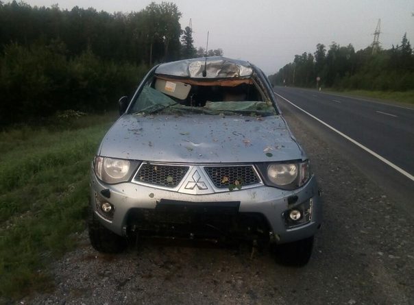 "Мицубиси" врезался в лося на трассе Тюмень - Ханты-Мансийск