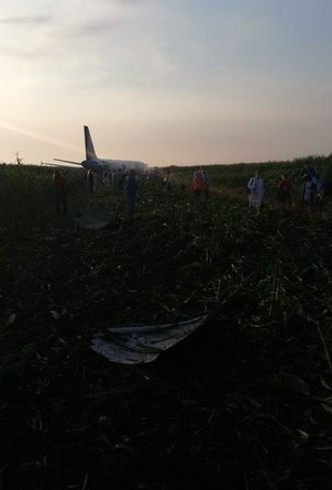 "Мой самолет упал". Самолет А-321 "Уральских авиалиний" приземлился в поле под Москвой