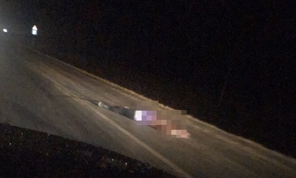 Ночная трагедия под Ярково: грузовик сбил женщину, которая шла по проезжей части