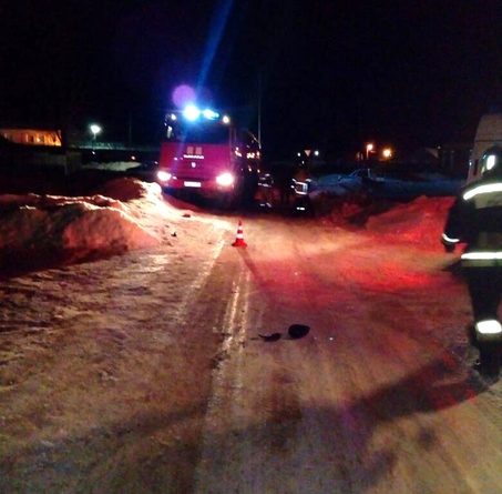Трагедия в Заводоуковске: водитель "Тойоты" сбила насмерть своего соседа