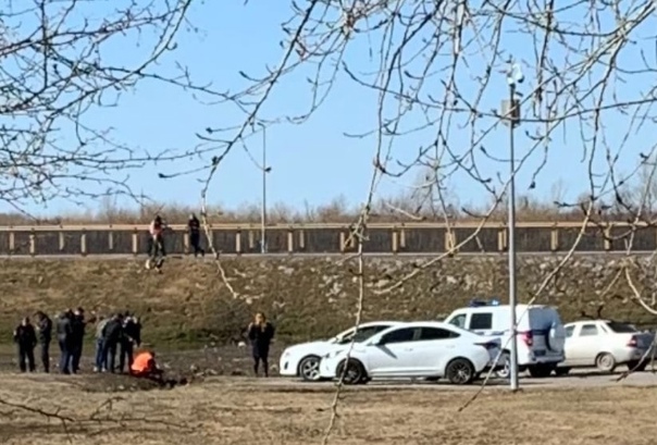 Страшная находка в парке Заречном: в луже рабочие нашли тело женщины