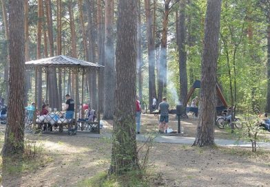 Где в Тюмени можно жарить шашлык. ТОП-15 мангальных зон